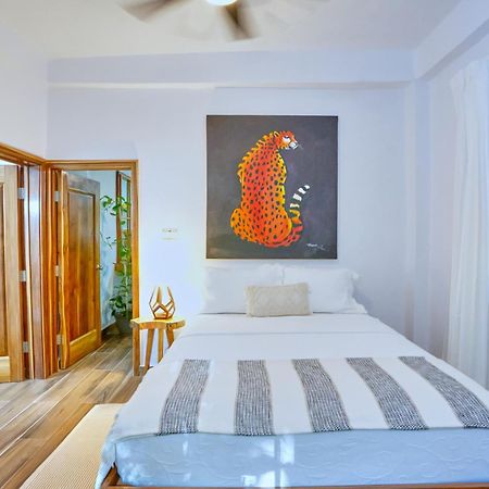 Villa Massis Luxury Villas 圣伊格纳西奥 外观 照片