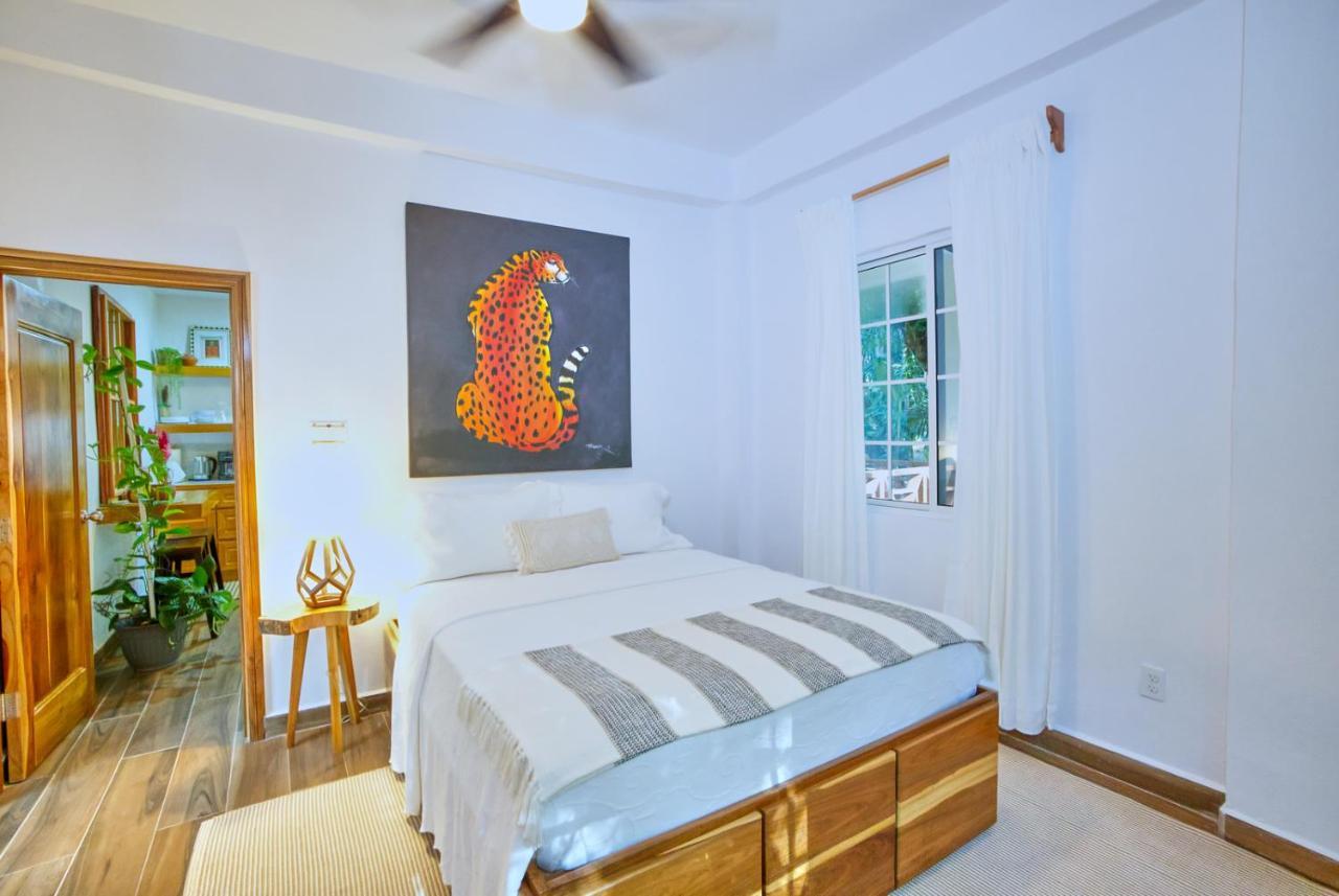 Villa Massis Luxury Villas 圣伊格纳西奥 外观 照片