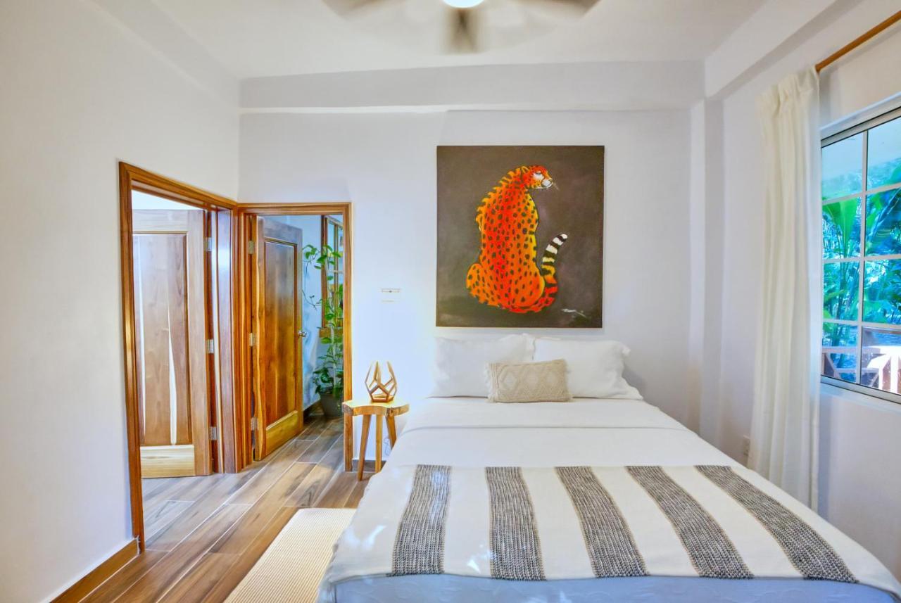 Villa Massis Luxury Villas 圣伊格纳西奥 外观 照片