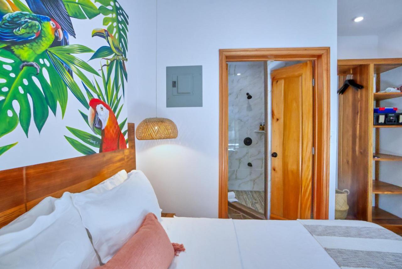 Villa Massis Luxury Villas 圣伊格纳西奥 外观 照片