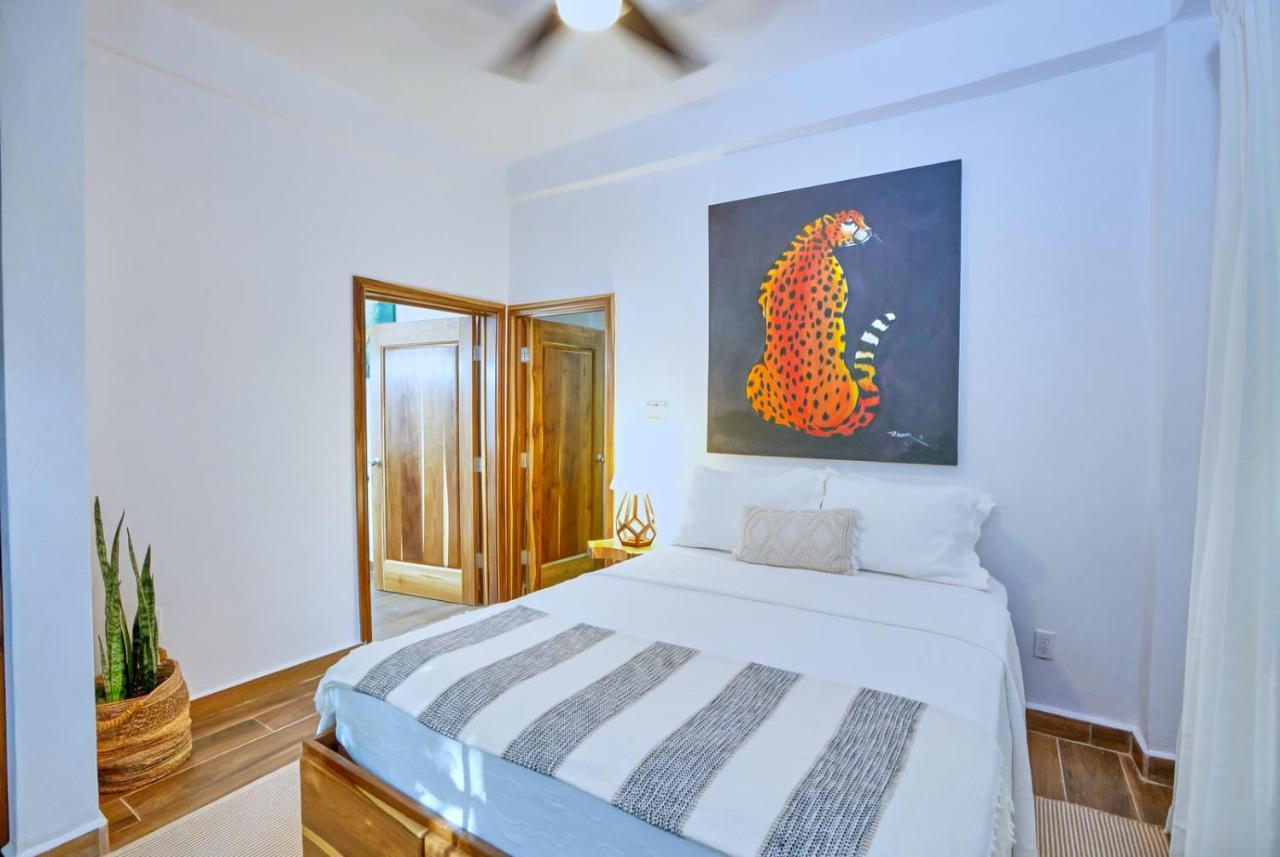 Villa Massis Luxury Villas 圣伊格纳西奥 外观 照片