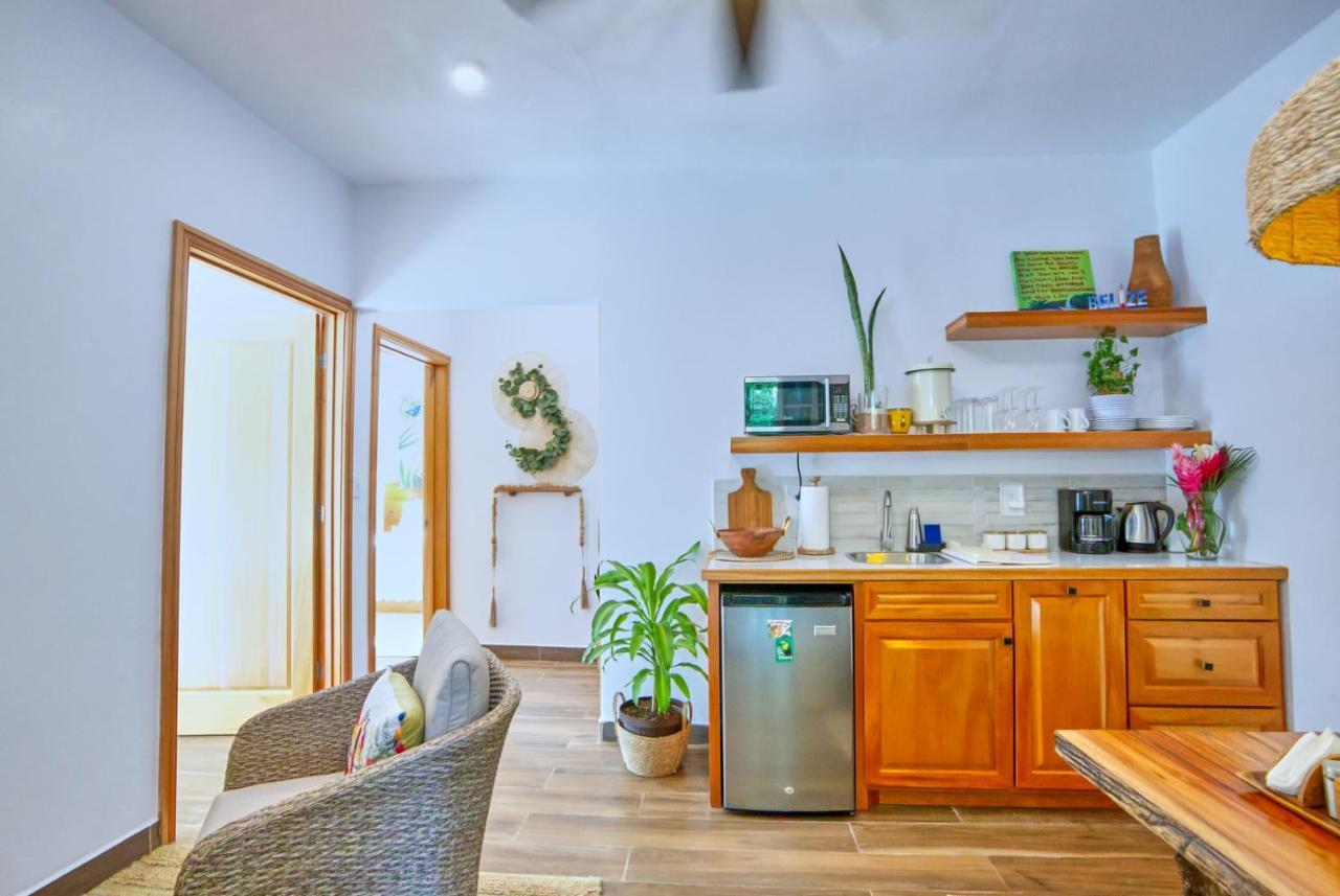 Villa Massis Luxury Villas 圣伊格纳西奥 外观 照片